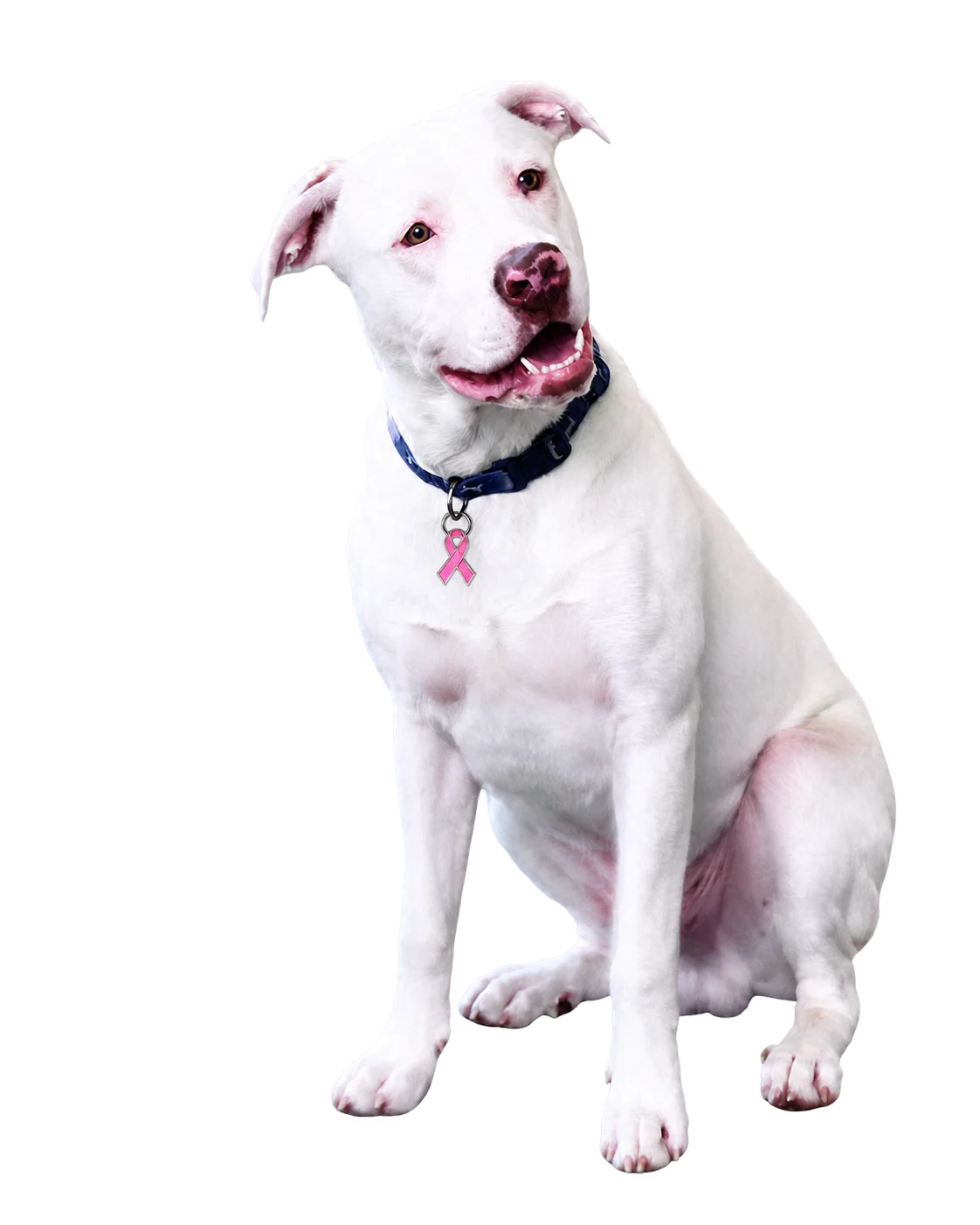 Louie, the Blinds by Jason mascot wearing a pink breast cancer awareness ribbon